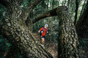 BIB: 
                            <button type="button" onclick="openModal(25391891)" class="btn btn-primary btn-sm float-right btn-popup" data-toggle="modal" data-target=".modal-high-quality">
                        <i class="fas fa-shopping-cart"></i> Add to Cart
                    </button>
                                            <button type="button" onclick="isThisMe(25391891, true)" class="btn btn-success btn-sm float-right btn-popup btn-isme hidden" data-toggle="tooltip" data-placement="bottom" title="นี่คือรูปของคุณใช่ไหม คลิกที่นี่เพื่อเอาเข้าอัลบั้ม">
                        <i class="fas fa-plus"></i> Add to album
                    </button>
                    <button type="button" onclick="isThisMe(25391891, false)" class="btn btn-warning btn-sm float-right btn-popup btn-isnotme hidden">
                        <i class="fas fa-ban"></i> Remove from album
                    </button>